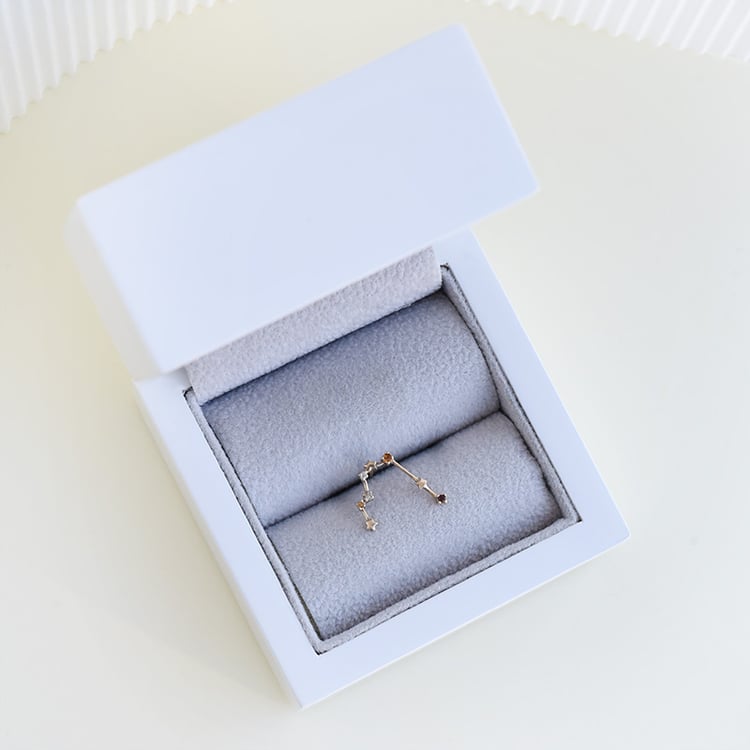 Náušnica so znamením zverokruhu Gemini 95197