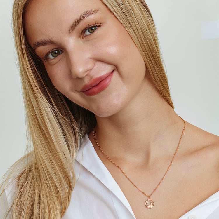 Strieborný vykrojený prívesok s líškou Malý princ 162625