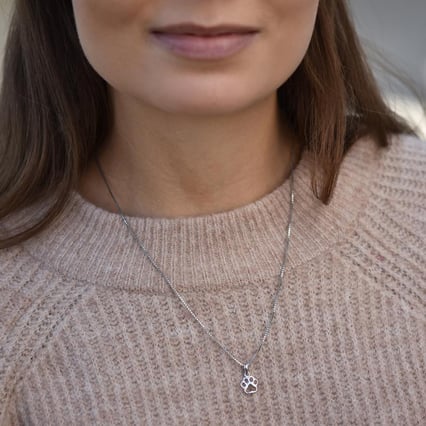 Strieborný prívesok s labkou Dellie