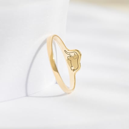 Prsteň so skrytým slonom Malý princ