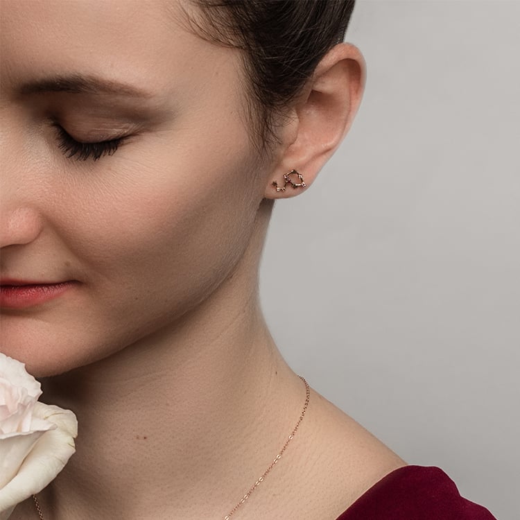 Náušnica so znamením zverokruhu Leo 95342