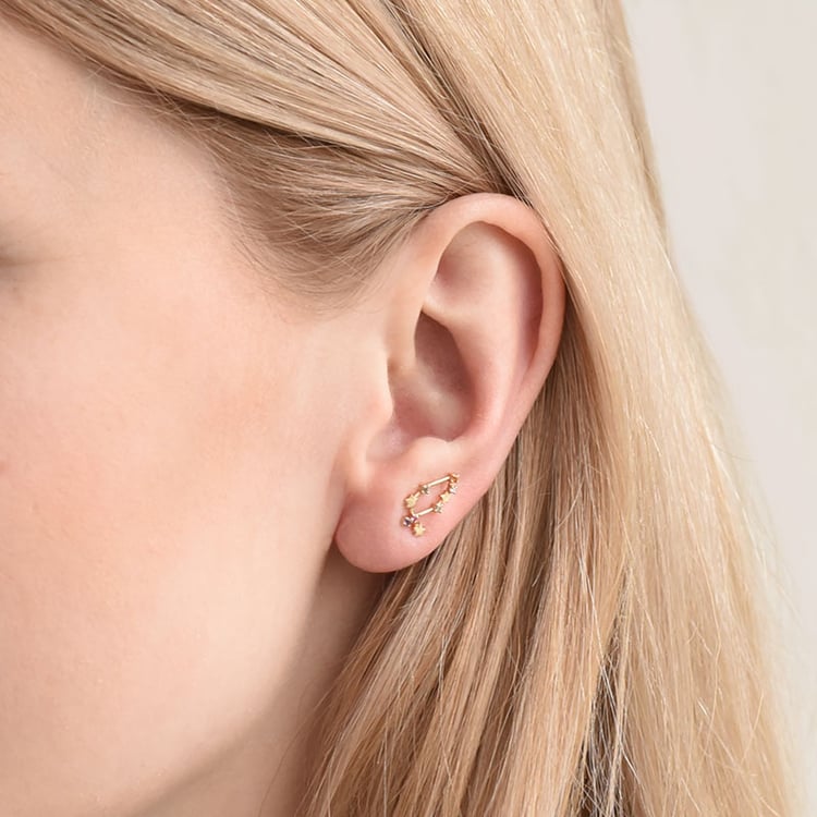 Zlatá náušnica so znamením zverokruhu Capricorn 95203