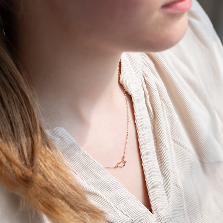 Náhrdelník so znamením zverokruhu Capricorn 140991