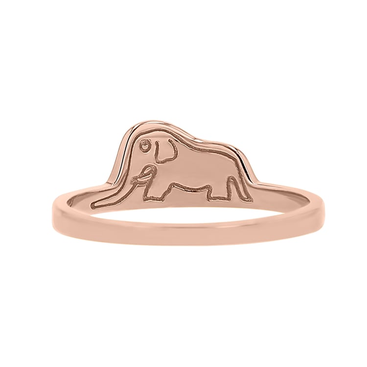 Strieborný prsteň so skrytým slonom Malý princ 141801