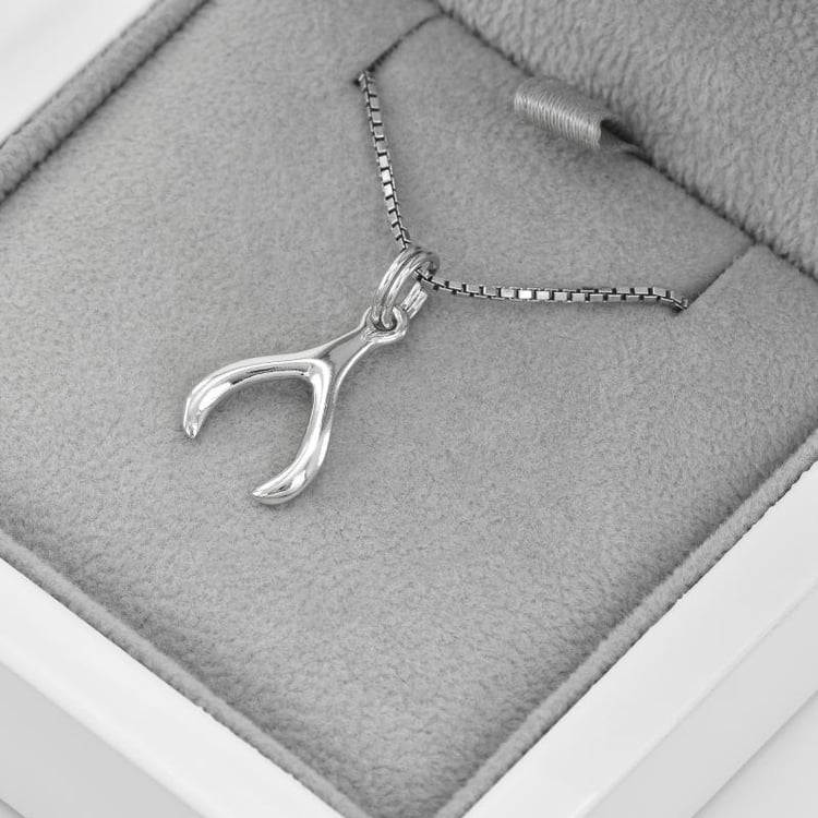 Prívesok v striebornom náhrdelníku 44883