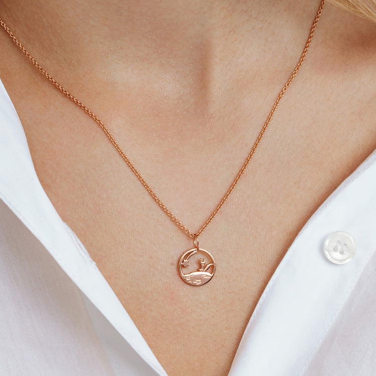 Strieborný vykrojený prívesok s líškou Malý princ 162622