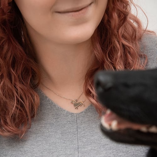 Strieborný prívesok v tvare psa s gravírom Dachshund