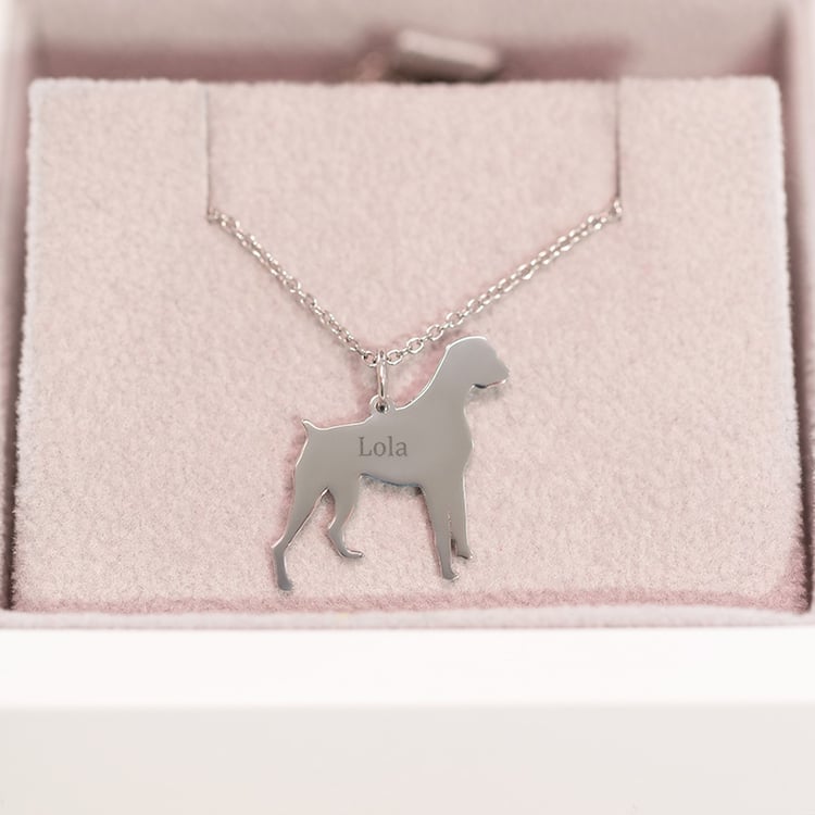 Strieborný prívesok v tvare psa s gravírom Boxer 98938