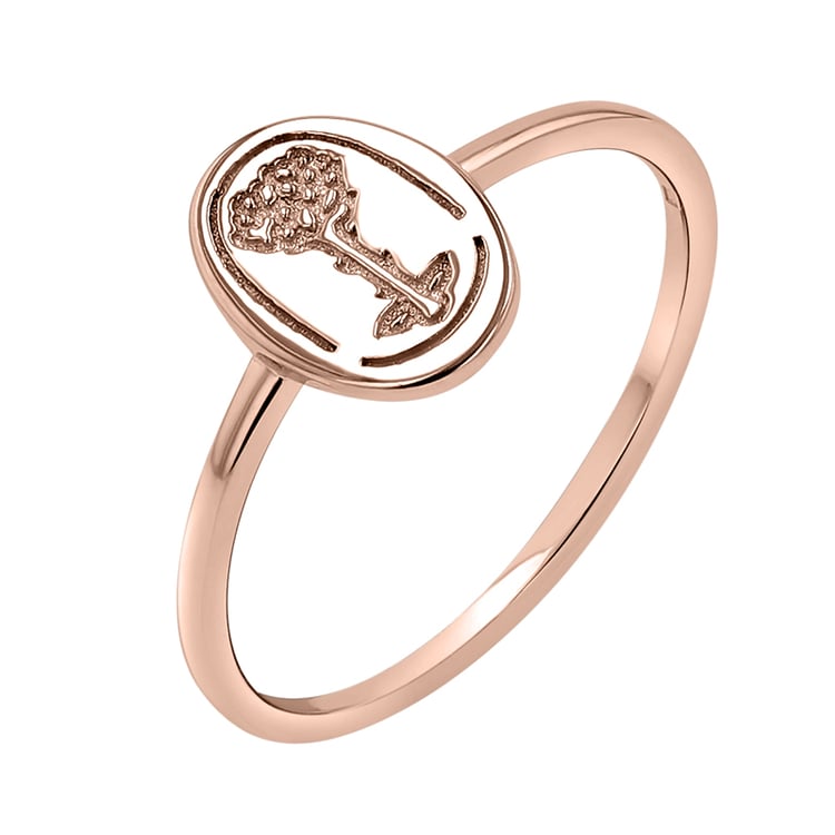 Strieborný oválny prsteň s gravírovanou ružou Malý princ 141796