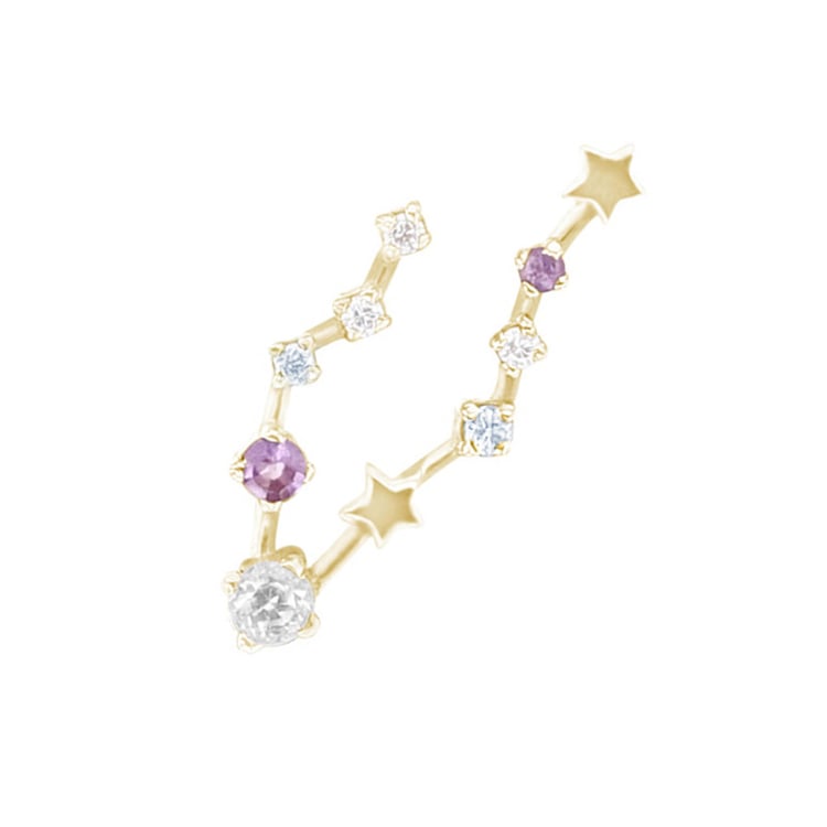 Náušnica so znamením zverokruhu Pisces