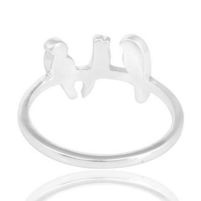 Strieborny prsteň 8950