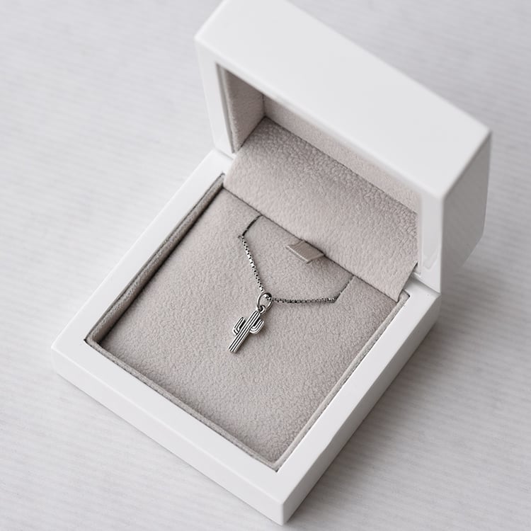 Strieborný náhrdelník 70780