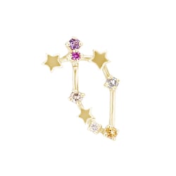 Náušnica so znamením zverokruhu Capricorn