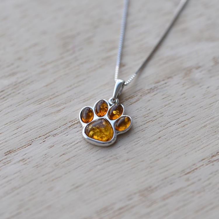 Labka v striebornom prívesku 52070