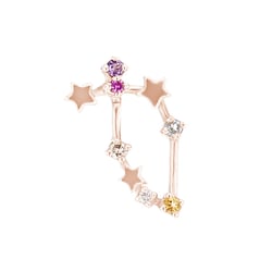 Náušnica so znamením zverokruhu Capricorn