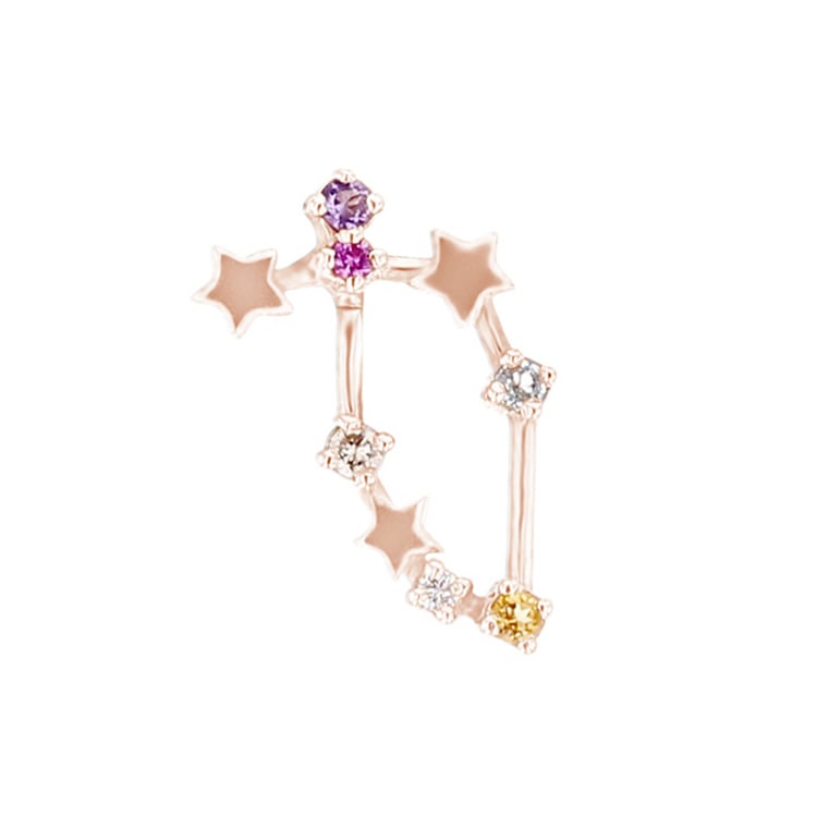 Náušnica so znamením zverokruhu Capricorn 95706