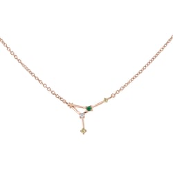 Náhrdelník so znamením zverokruhu Cancer