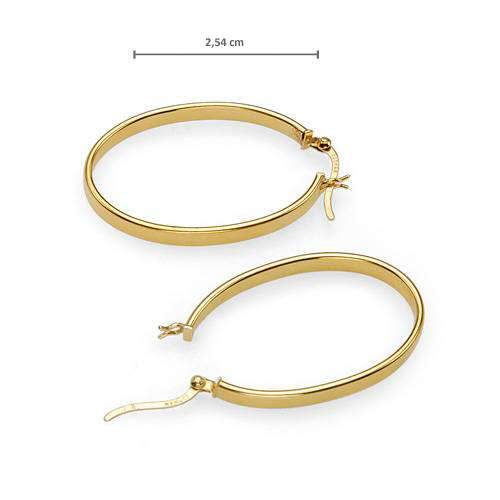 Strieborné pozlátené náušnice Harriet 53289