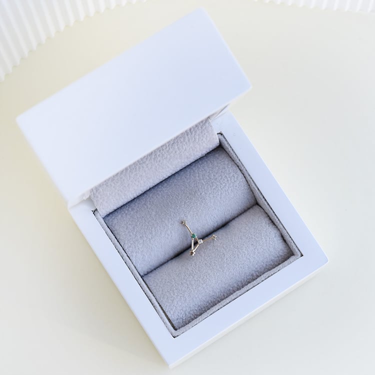 Zlatá náušnica so znamením zverokruhu 95351