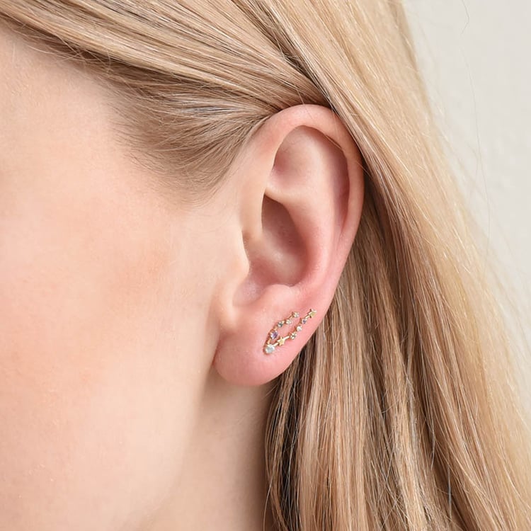 Náušnica so znamením zverokruhu Pisces 113214