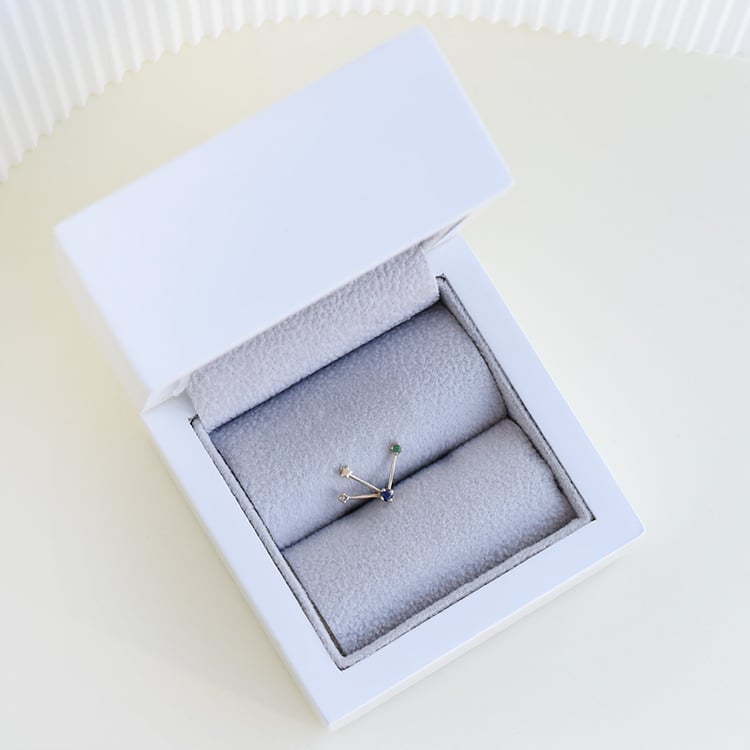 Náušnica so znamením zverokruhu Taurus 95201