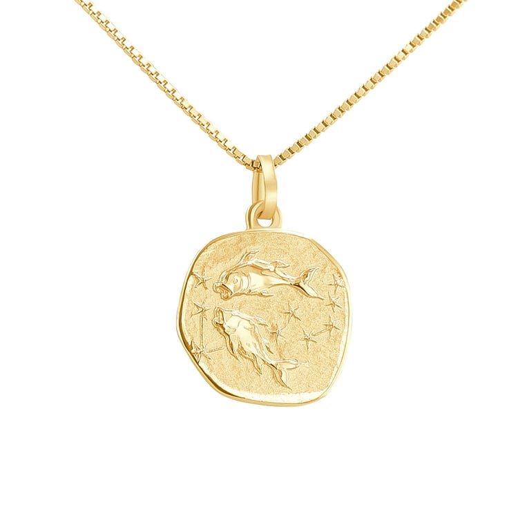 Strieborný prívesok so symbolmi znamenia zverokruhu 136473