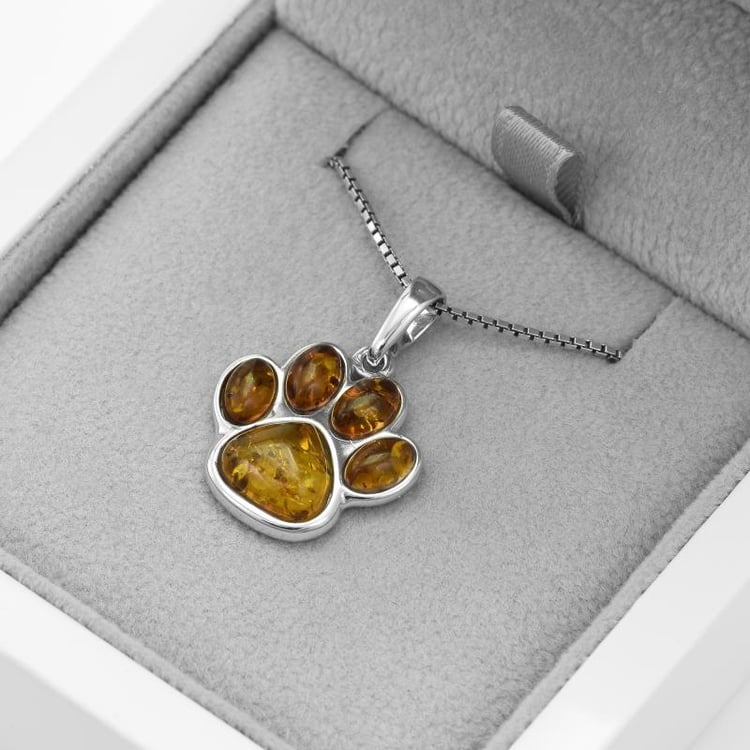 Jantárová labka 52069