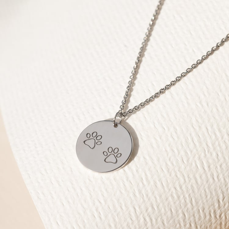 Strieborný prívesok s labkami a gravírom Charly 123106