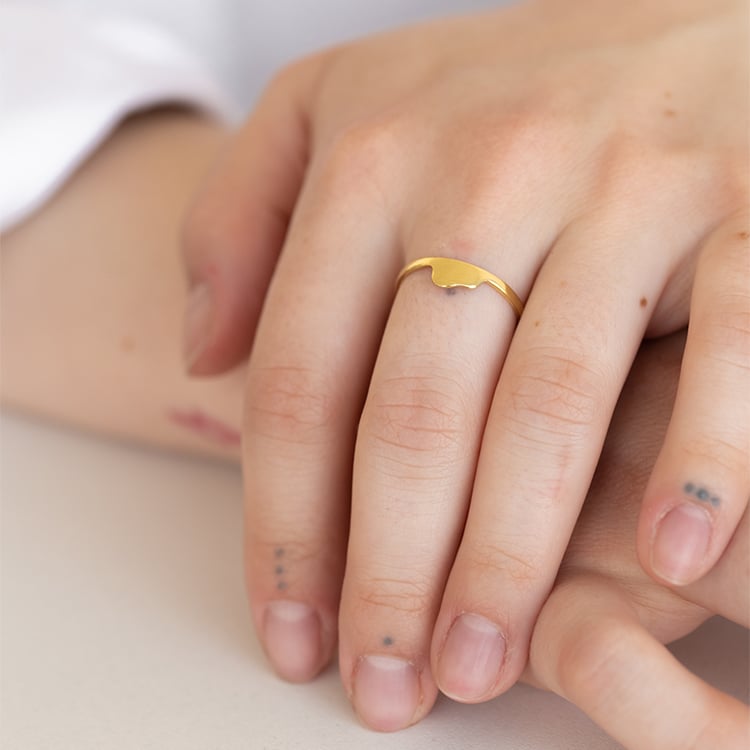 Strieborný prsteň so skrytým slonom Malý princ 122240