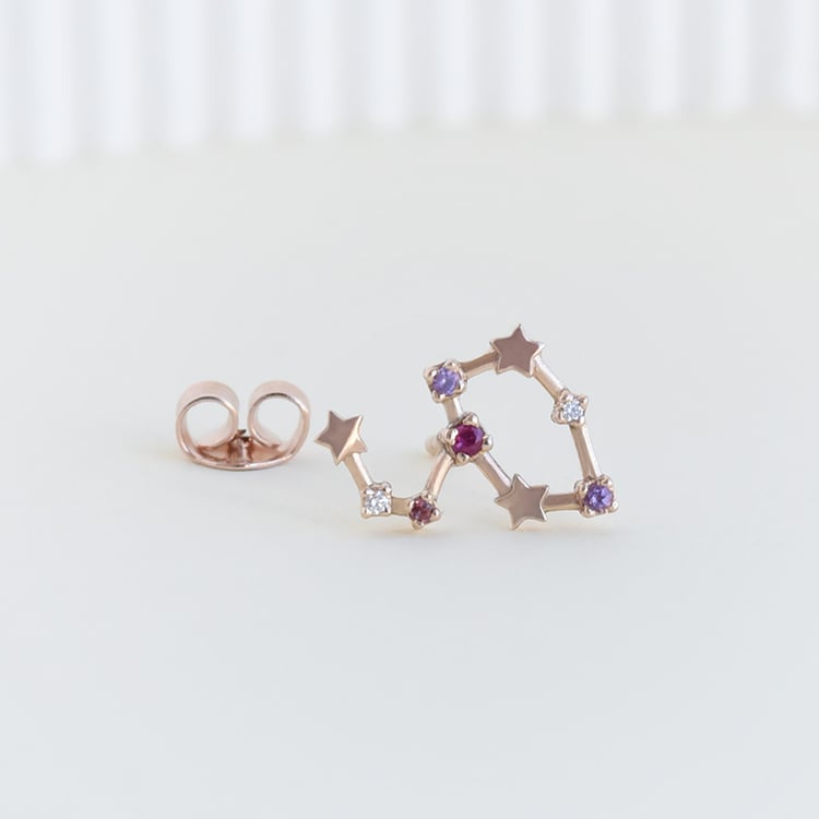 Náušnica so znamením 95320