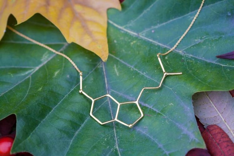 Pozlátený náhrdelník Elliah 7356