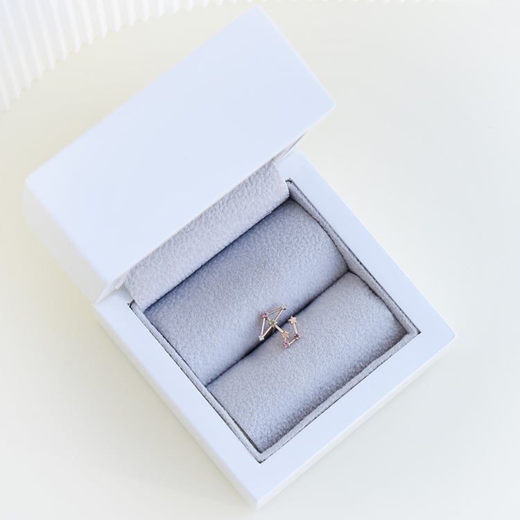 Náušnica so znamením zverokruhu Sagittarius 95315