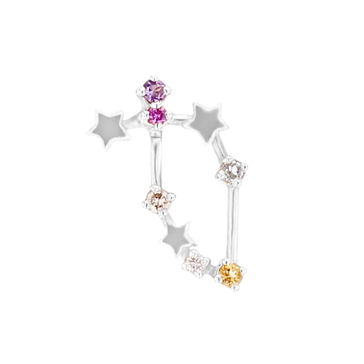 Náušnica so znamením zverokruhu Capricorn 95705