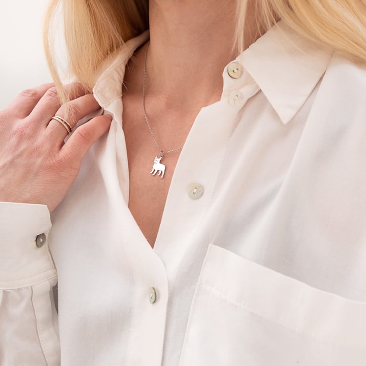 Strieborný prívesok v tvare psa s gravírom French Bulldog 98637