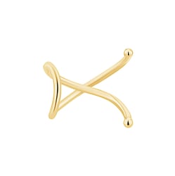 Zlatá záušnica Aranza