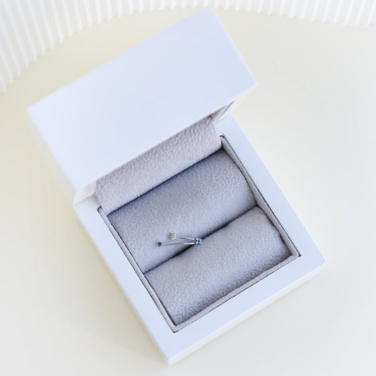 Zlatá náušnica so znamením zverokruhu 95311