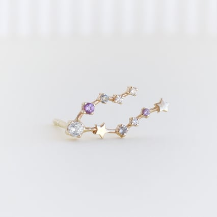 Náušnica so znamením zverokruhu Pisces