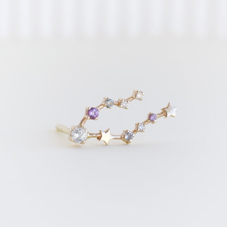 Náušnica so znamením zverokruhu Pisces 113227