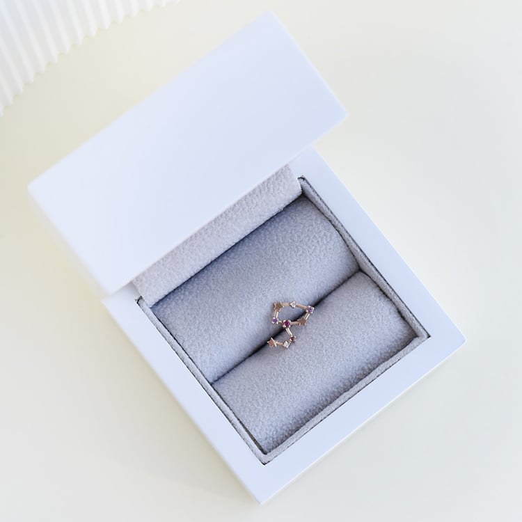 Náušnica so znamením zverokruhu 95319