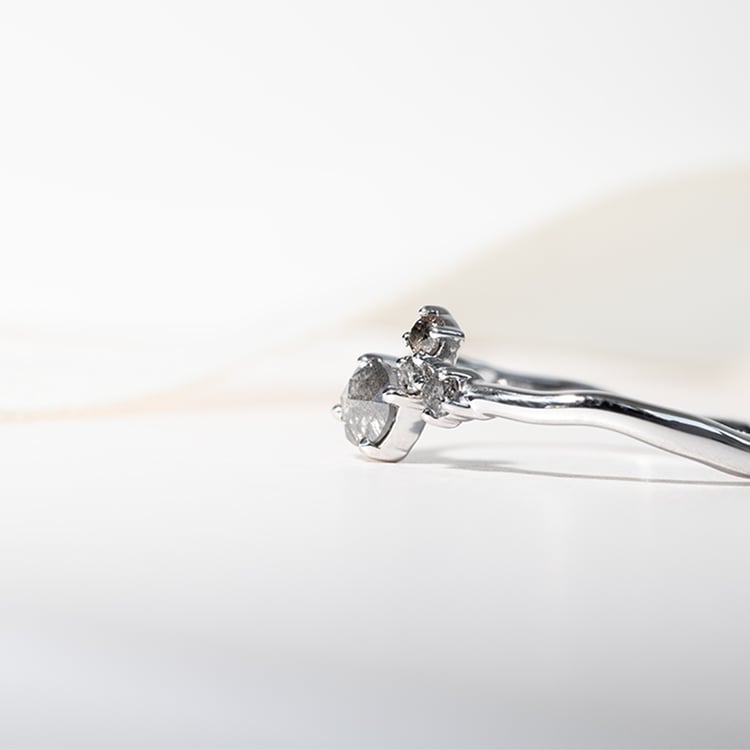 Cluster prsteň so salt and pepper diamantmi Roche 127766