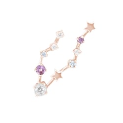 Náušnica so znamením zverokruhu Pisces