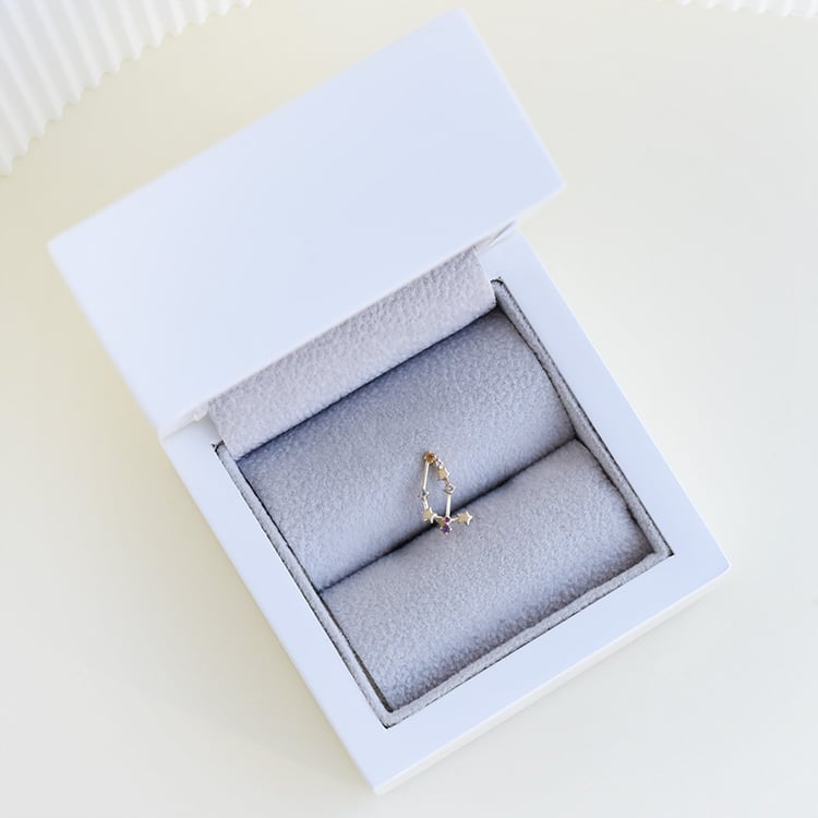 Náušnica so znamením zverokruhu 95354