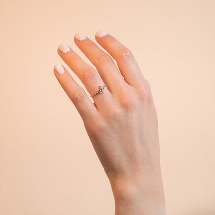 Cluster prsteň so salt and pepper diamantmi Roche 104674