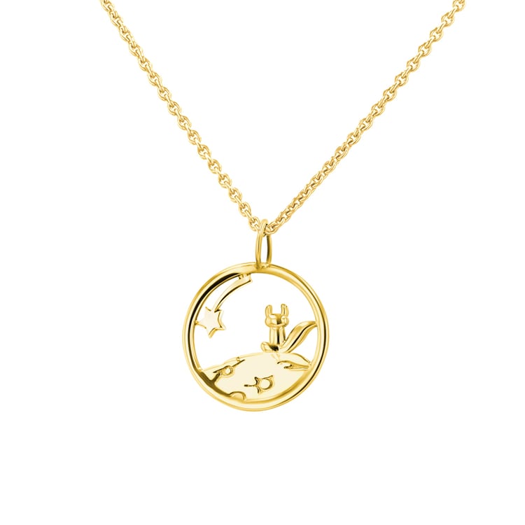 Strieborný vykrojený prívesok s líškou Malý princ 141918