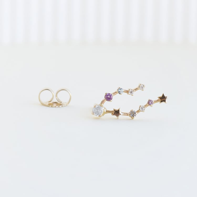 Náušnica so znamením zverokruhu Pisces 113228