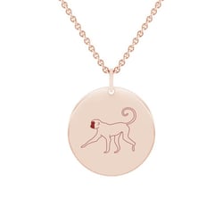 Personalizovaný náhrdelník Čínske znamenie zverokruhu