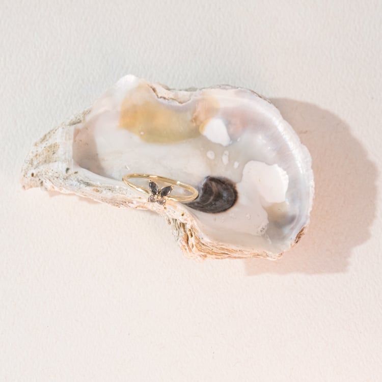 Salt and pepper prsteň v tvare motýľa Fraya 100969