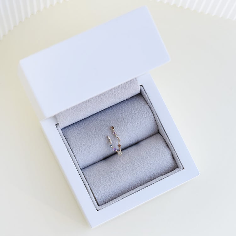 Náušnica so znamením zverokruhu Pisces 113229