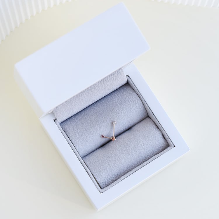 Náušnica so znamením zverokruhu Libra 95301