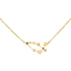Náhrdelník so znamením zverokruhu Capricorn